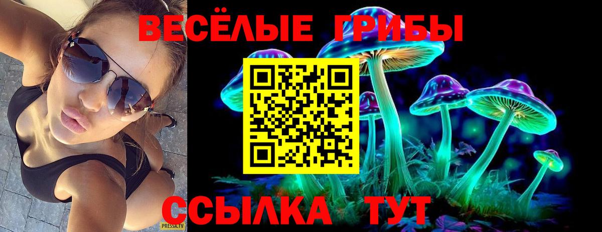 Галлюциногенные грибы Psilocybe  Вход с VPN  Псилоцибиновые грибы прущие грибы  Каменск-Шахтинский 