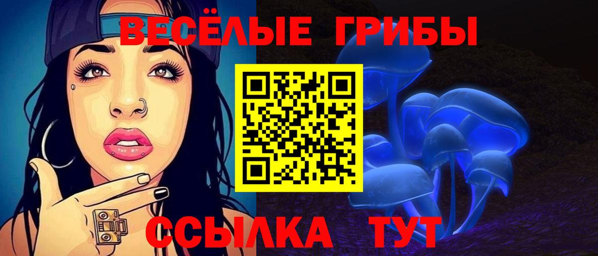 Галлюциногенные грибы MAGIC MUSHROOMS Каменск-Шахтинский